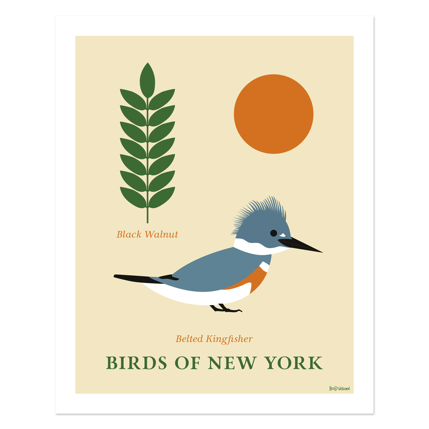 Belted Kingfisher - Birds of New York Artwork Print