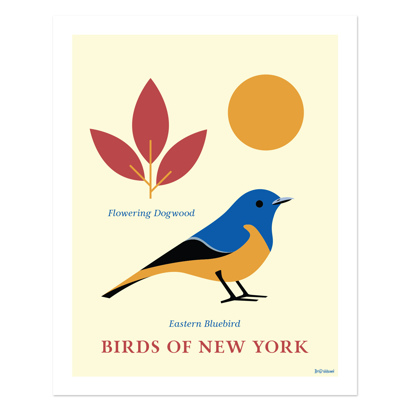 Eastern Bluebird- Birds of New York