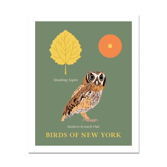 Eastern Screech Owl - Birds of New York