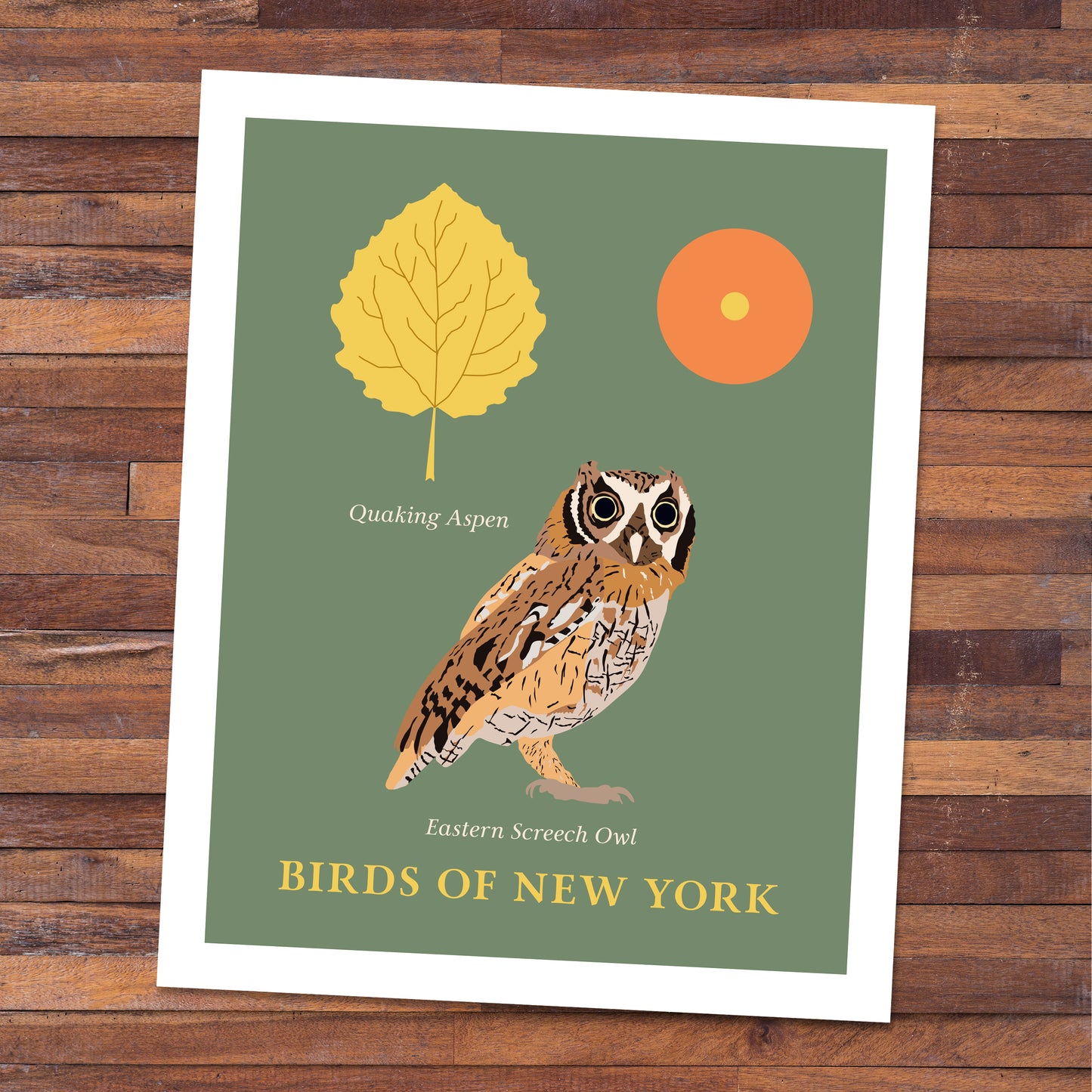 Eastern Screech Owl - Birds of New York