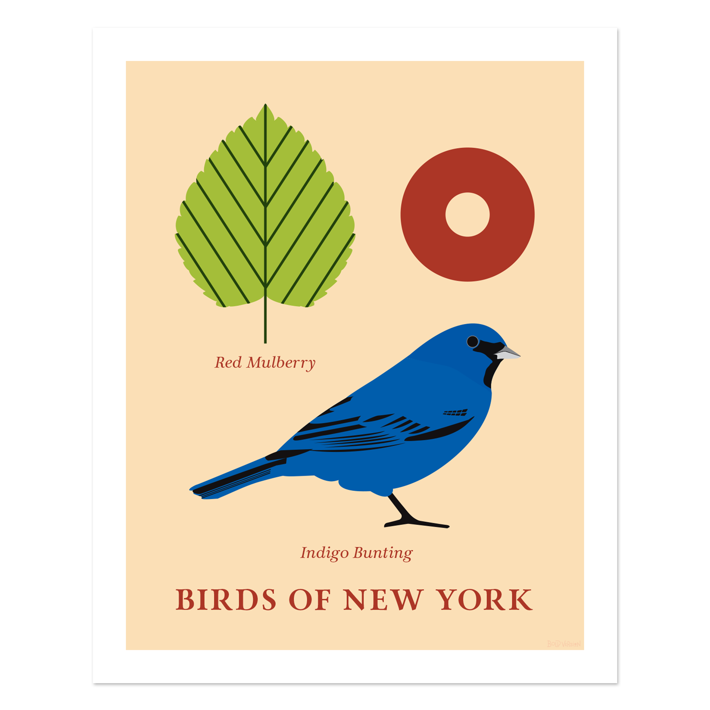 Birds of New York Series 02