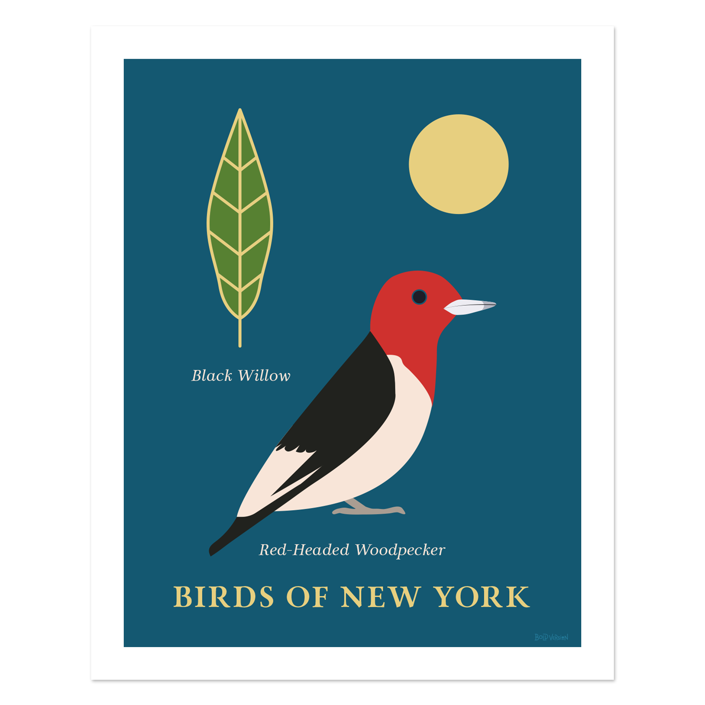 Red Headed Woodpecker - Birds of New York