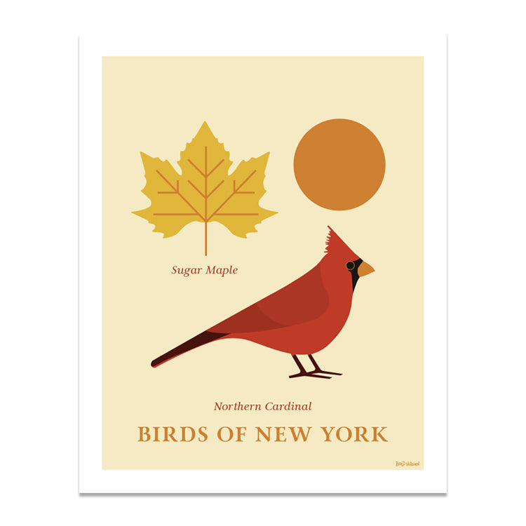 Birds of New York Series 01