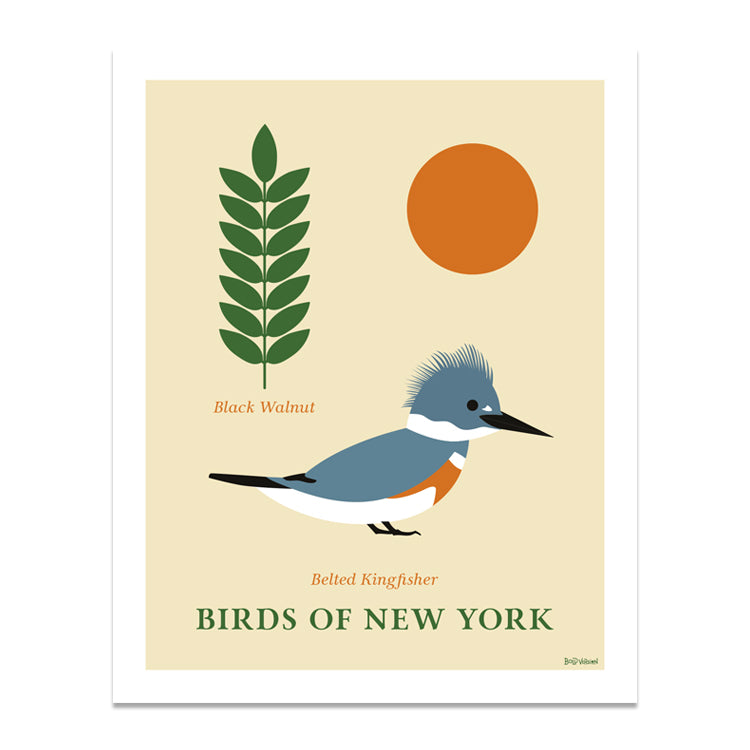 Birds of New York Series 01