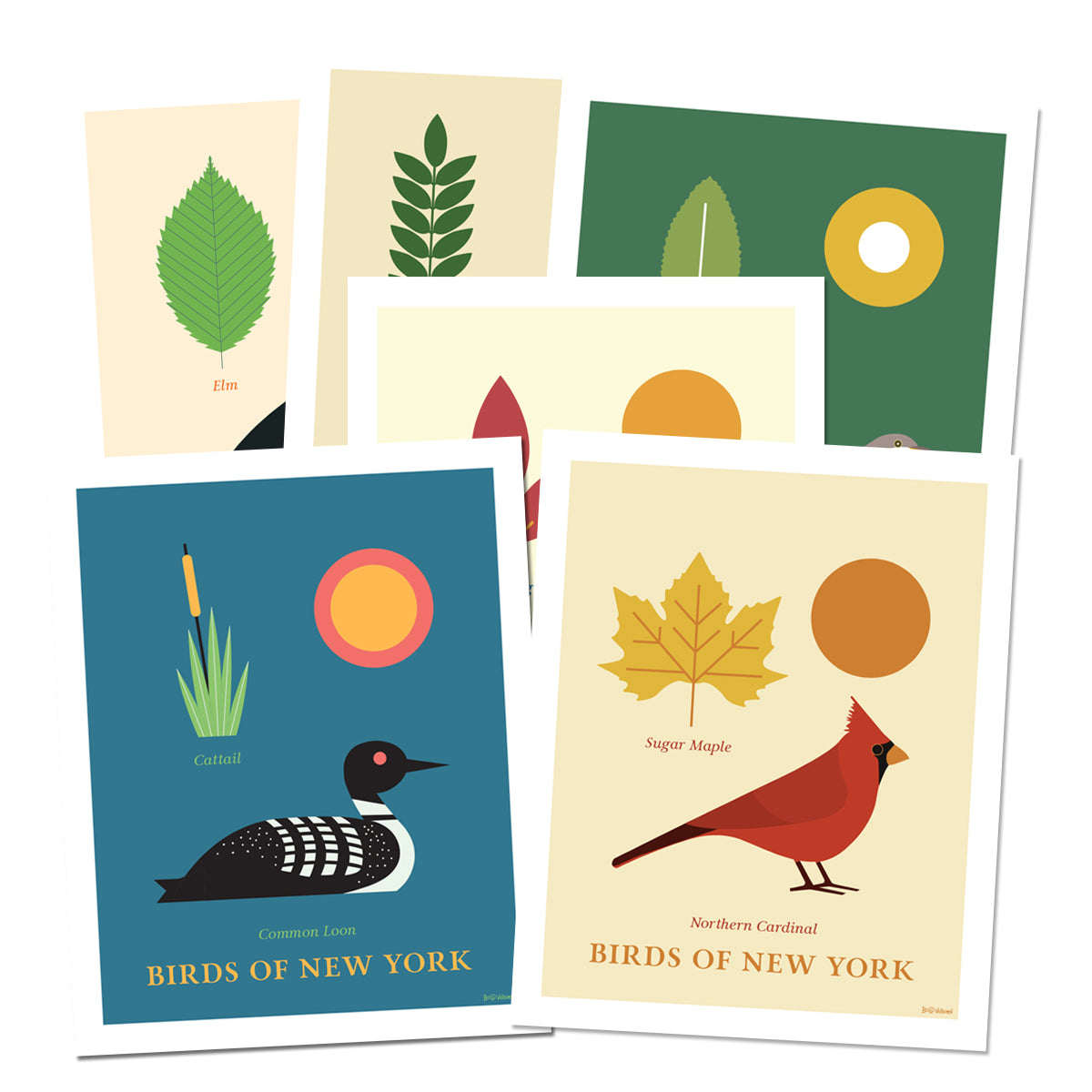 Birds of New York Series 01