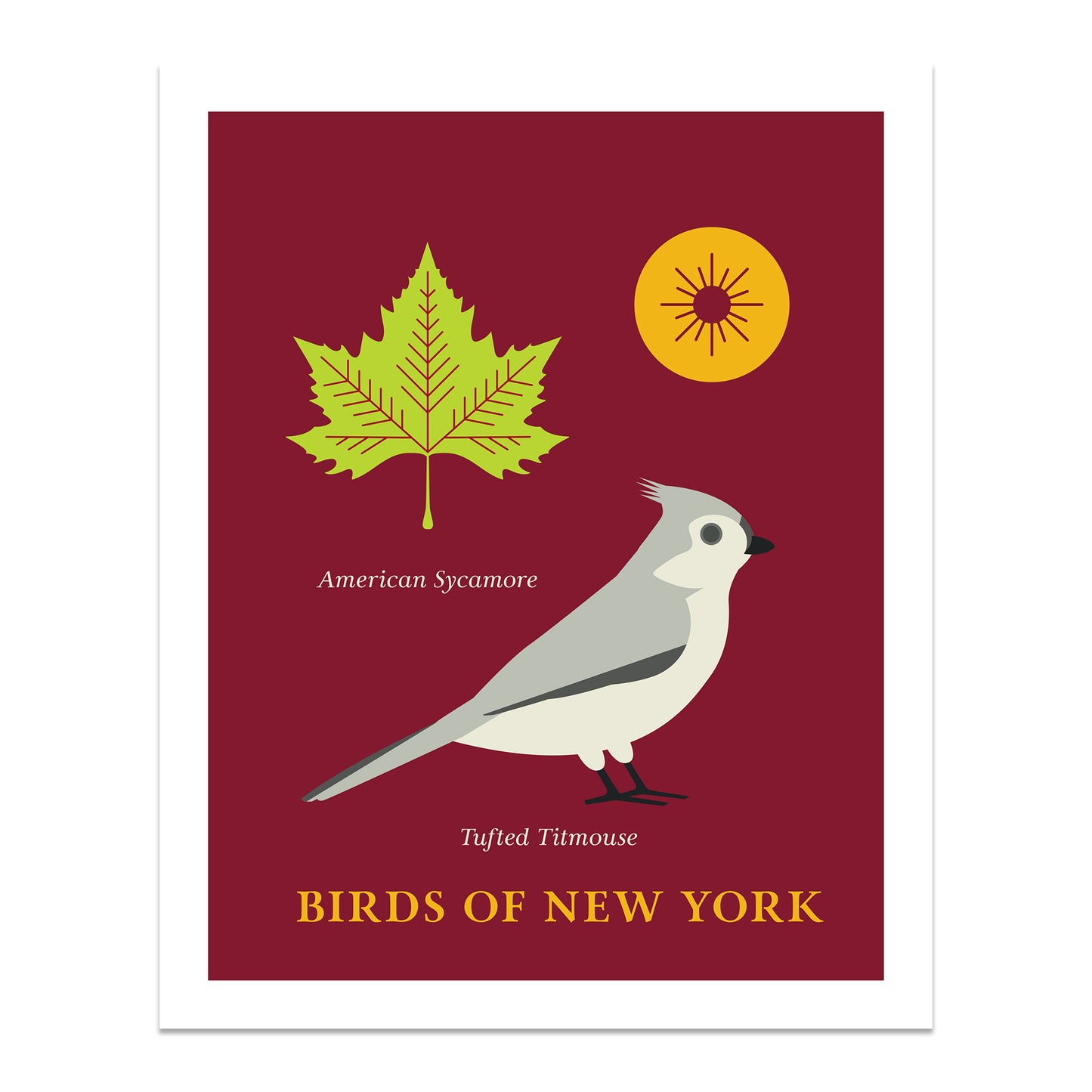 Tufted Titmouse - Birds of New York