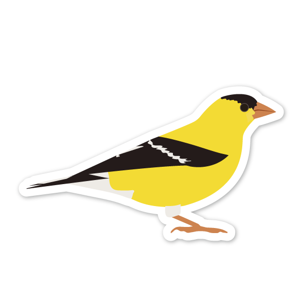 American Goldfinch Sticker