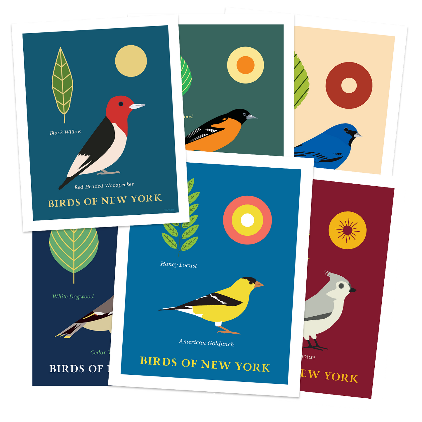 Birds of New York Series 02