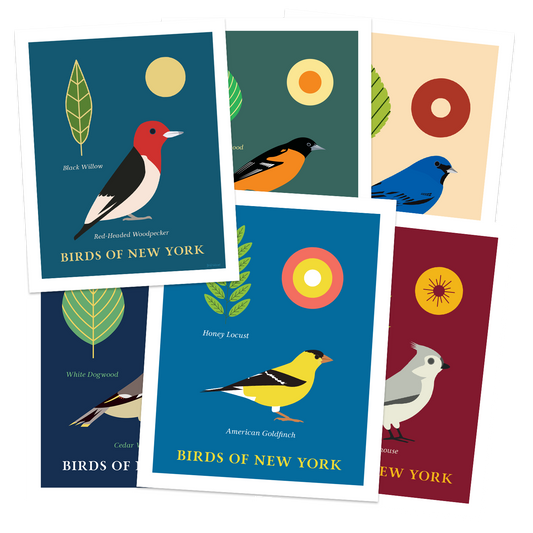 Birds of New York Series 02