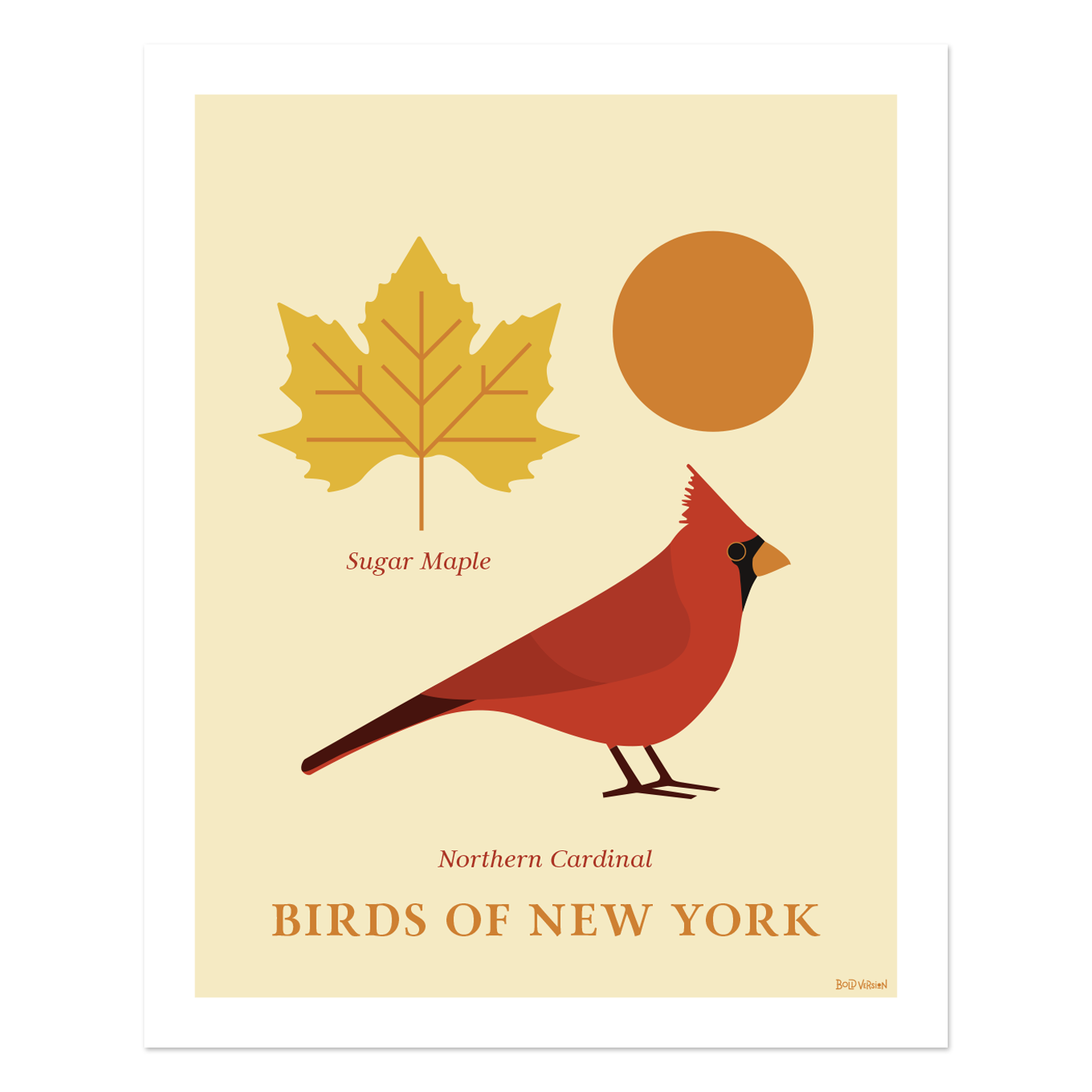 Northern Cardinal - Birds of New York