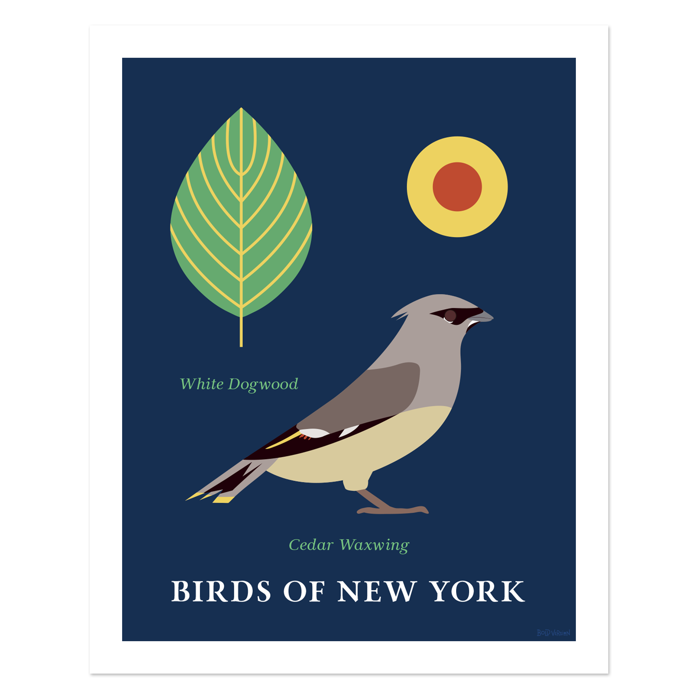 Cedar Waxwing - Birds of New York