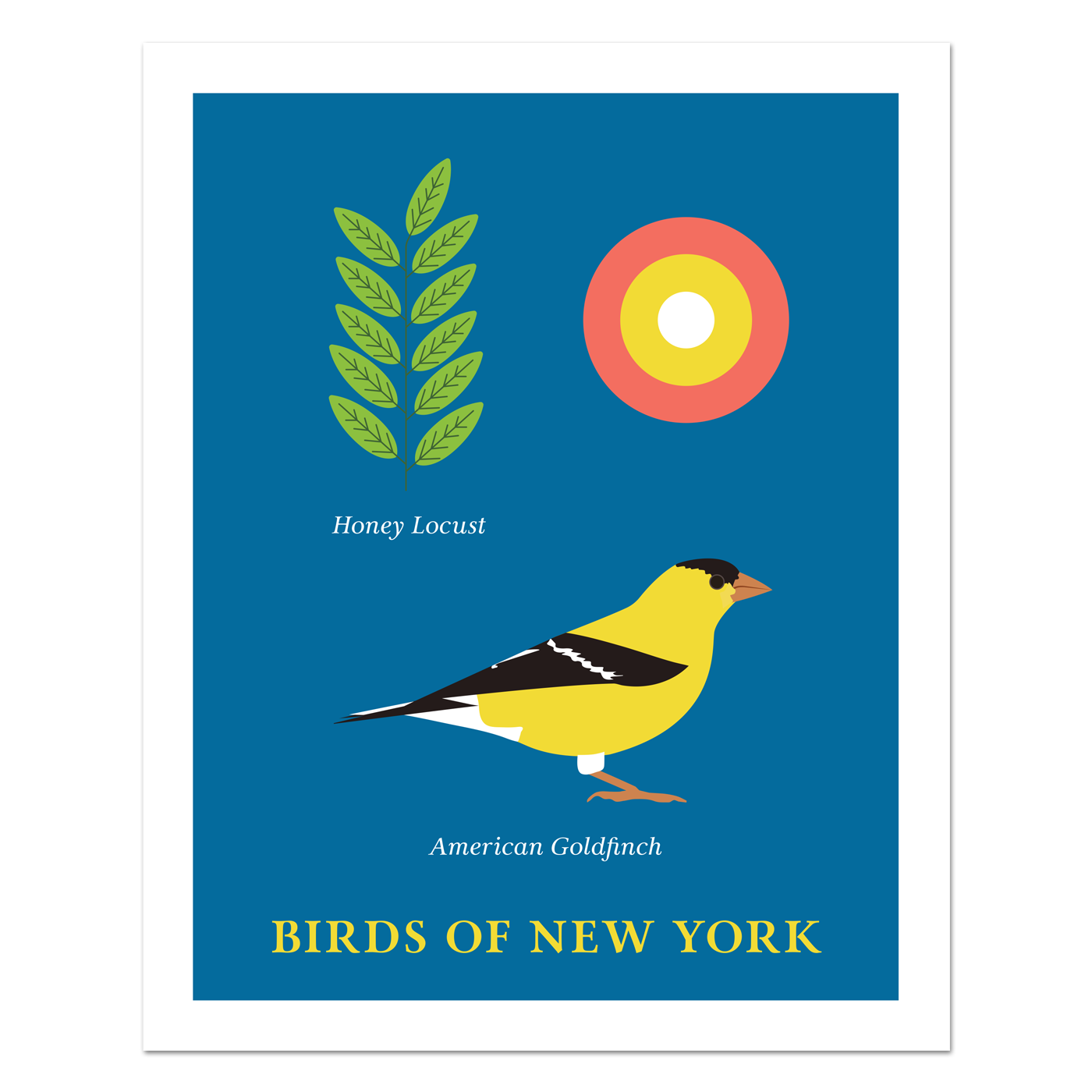 American Goldfinch - Birds of New York