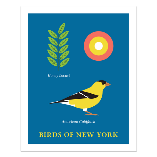 American Goldfinch - Birds of New York