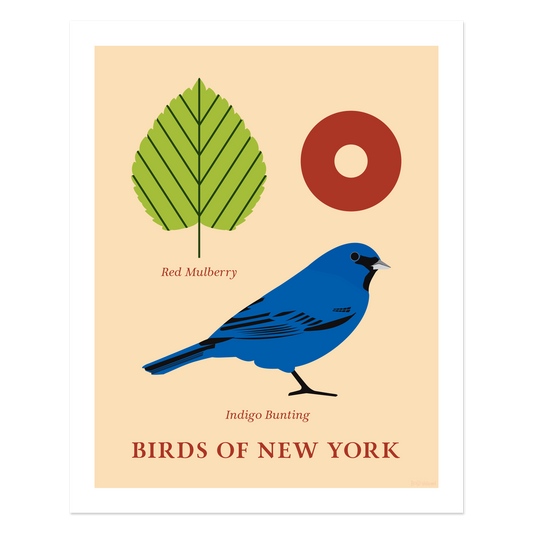 Indigo Bunting - Birds of New York