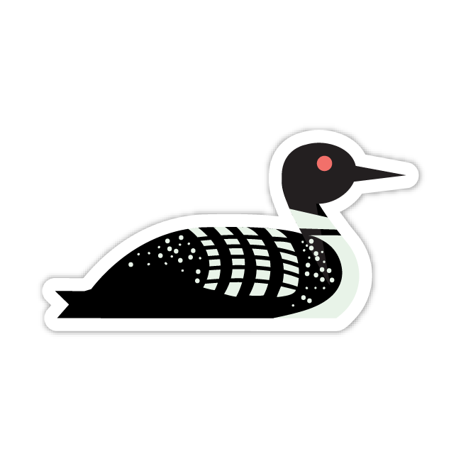 Common Loon Sticker – BOLD VERSION