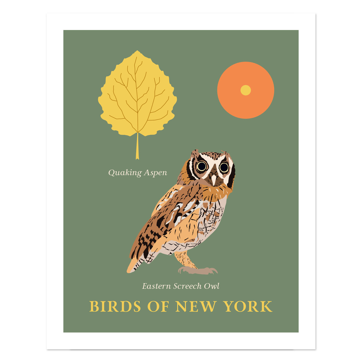 Eastern Screech Owl - Birds of New York