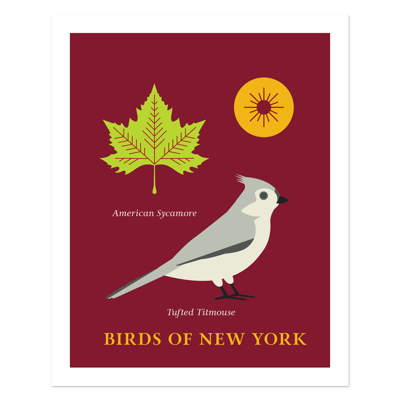 Tufted Titmouse - Birds of New York