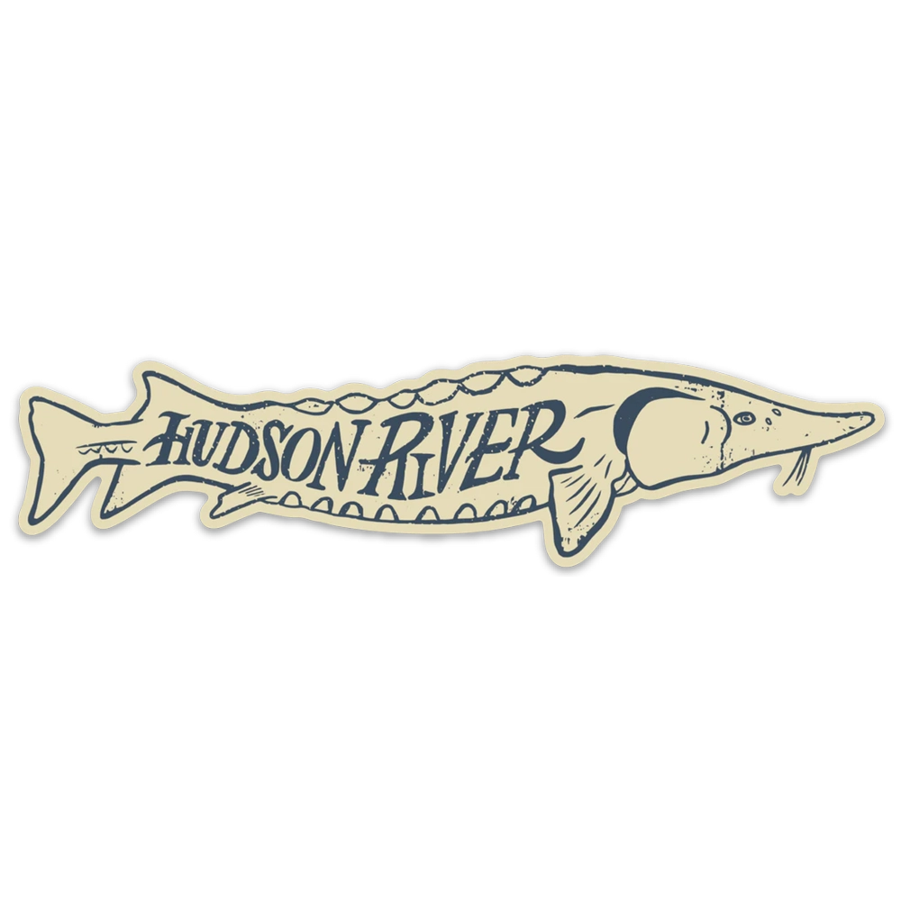 Atlantic Sturgeon Sticker