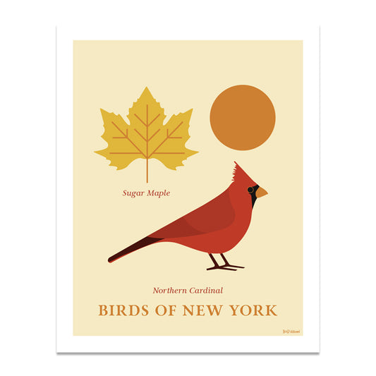 Northern Cardinal - Birds of New York