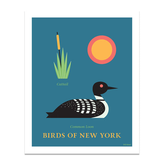 Common Loon - Birds of New York