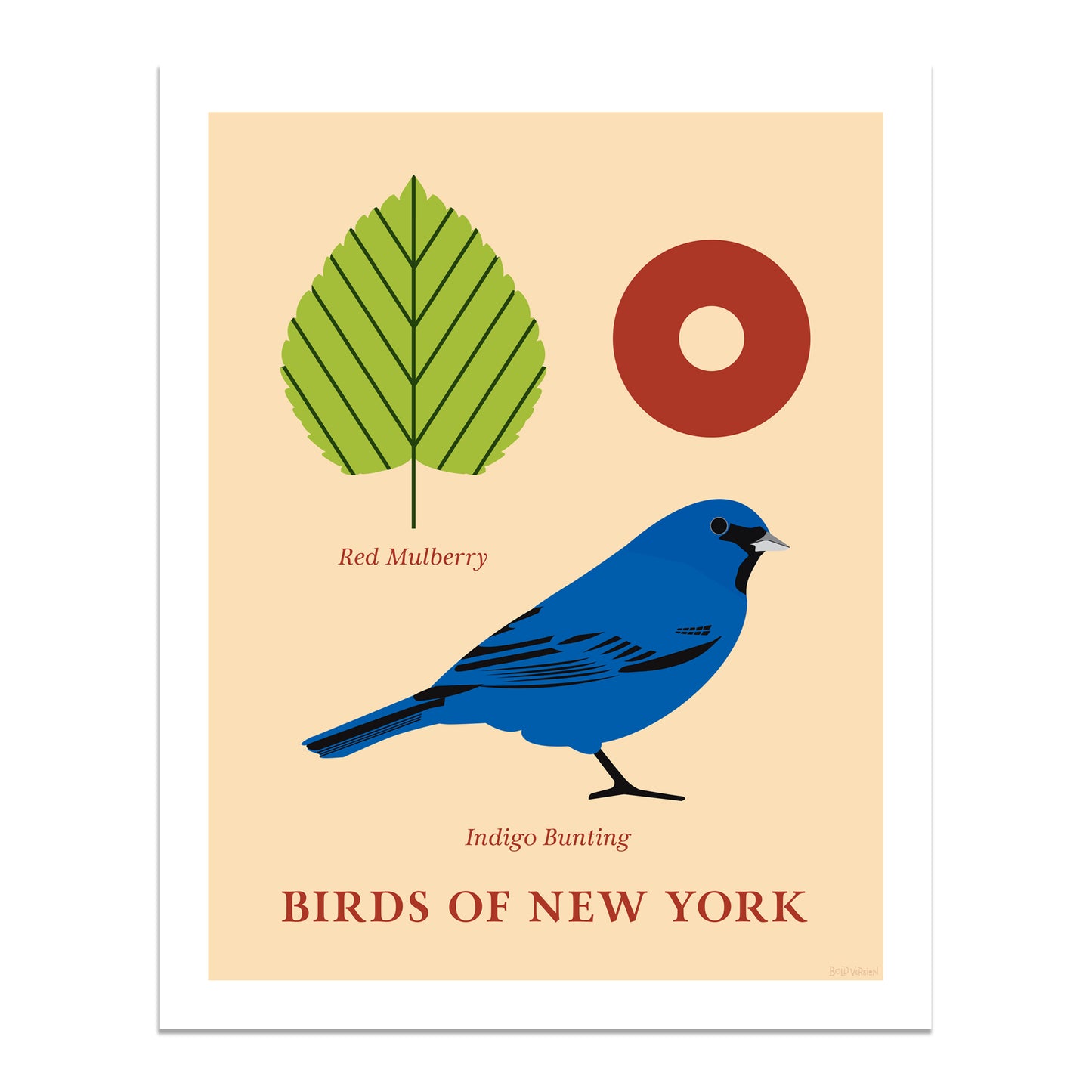 Indigo Bunting - Birds of New York