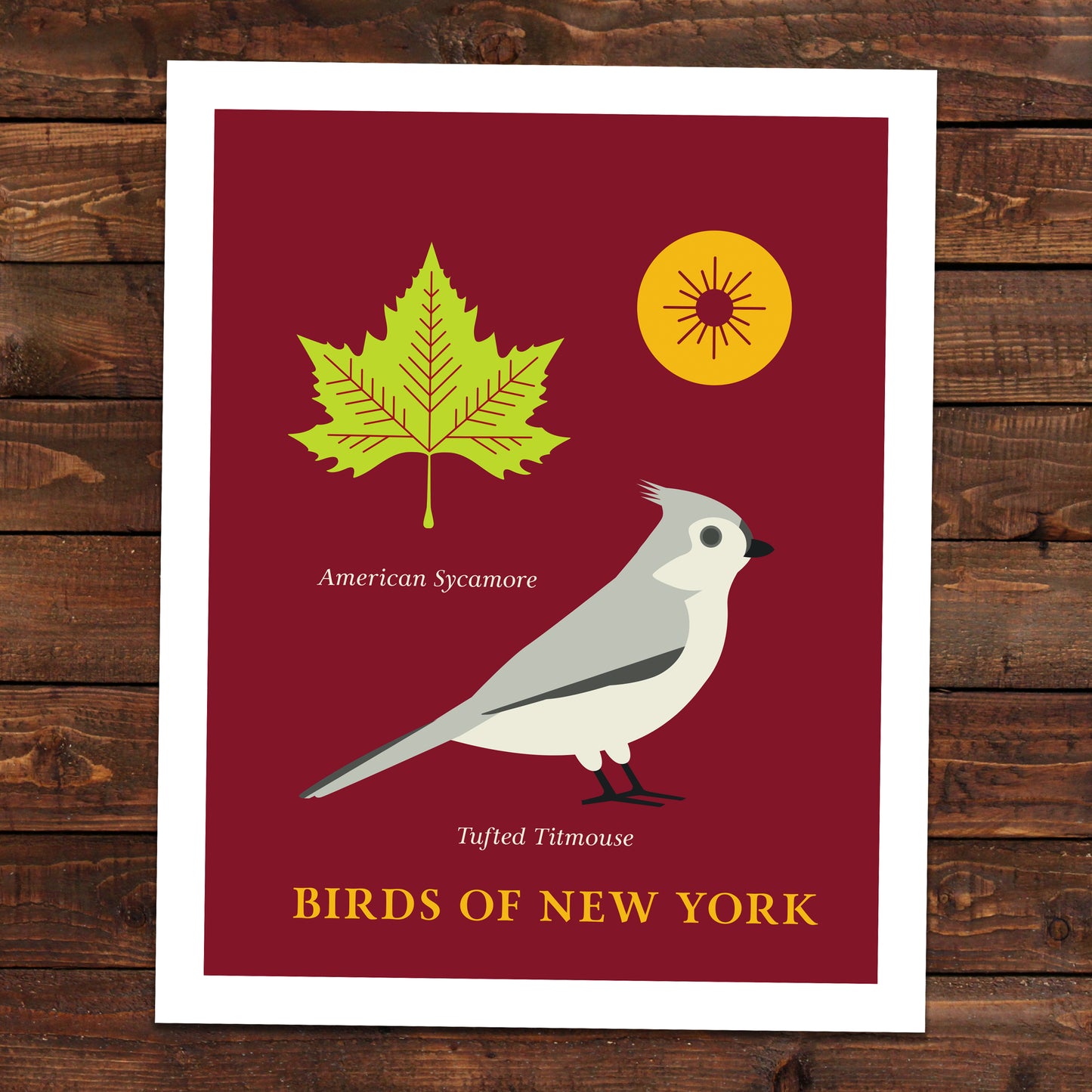 Tufted Titmouse - Birds of New York