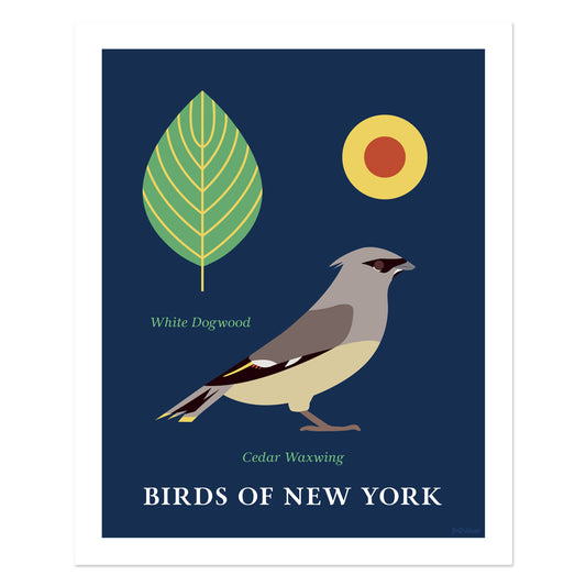 Cedar Waxwing - Birds of New York