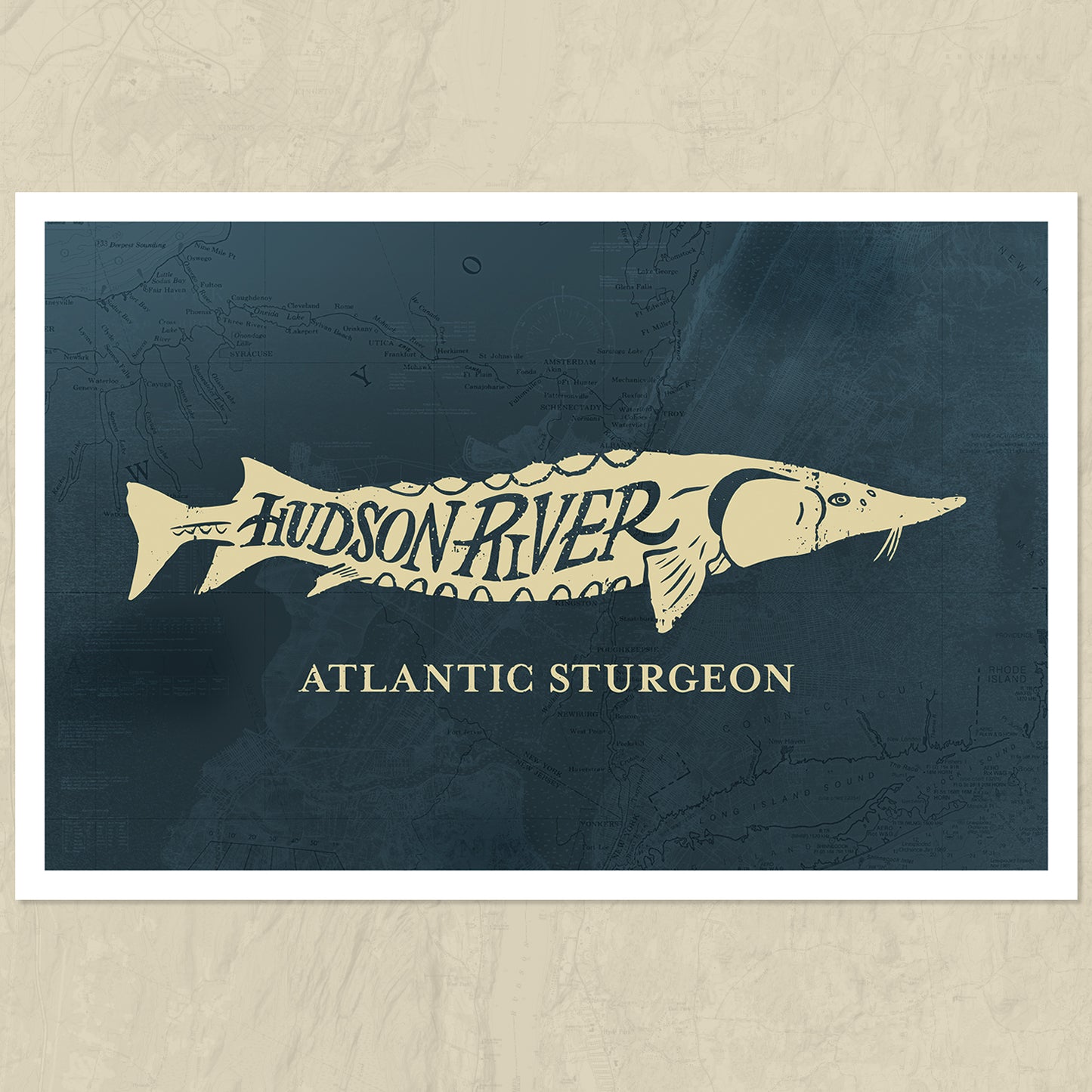 Atlantic Sturgeon