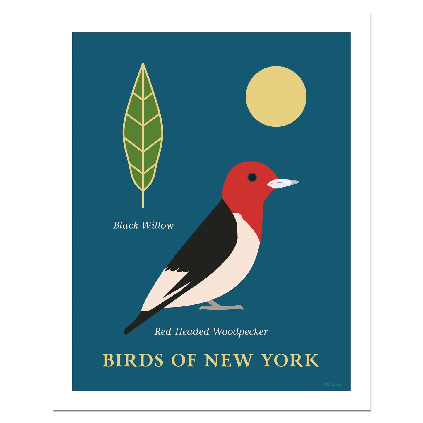 Red Headed Woodpecker - Birds of New York