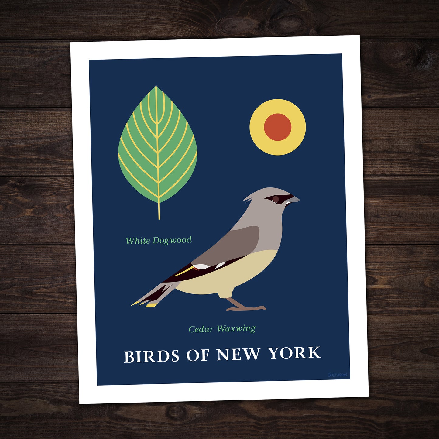 Cedar Waxwing - Birds of New York